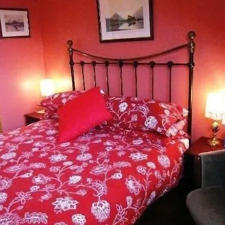 College House 4*