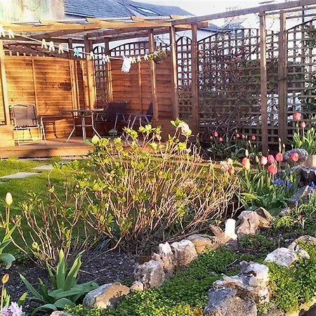 College House 酒店