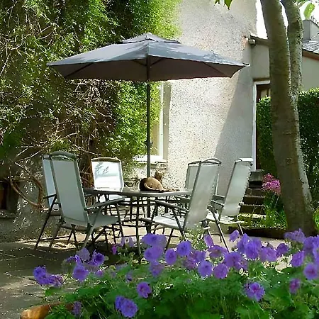 College House 4*